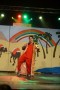 Thumbs/tn_Dansmarieke Festival 2016 385.jpg